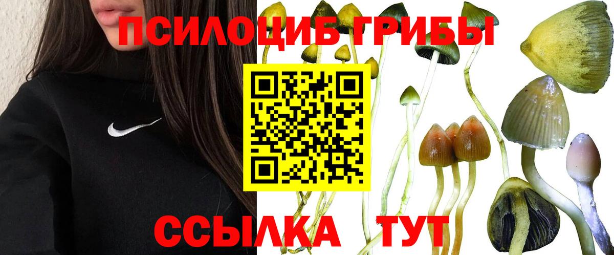 Новоалександровск  Псилоцибиновые грибы Magic Shrooms  Вход с VPN 
